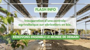 Copie-de-LE-CHIFFRE-DU-JOUR-34-300x169 Premier projet agrivoltaïque sur abricotiers bio en France inauguré par Sun’Agri à Cavaillon