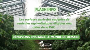 Copie-de-LE-CHIFFRE-DU-JOUR-82-300x169 Les surfaces agricoles avec centrales agrivoltaïques désormais éligibles aux aides de la PAC